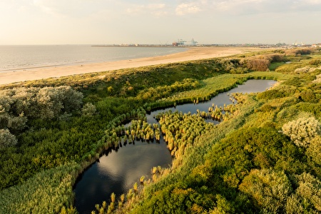 Blick auf Dünenteiche, Strand, Meer und in der Ferne den Hafen von Zeebrugge.